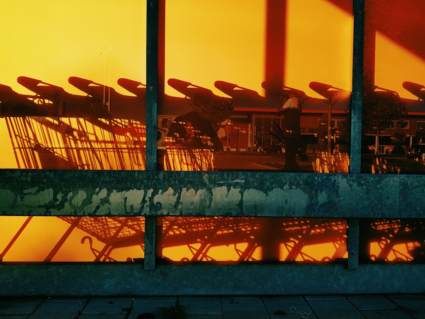 The Future of Online Bargain Hunting